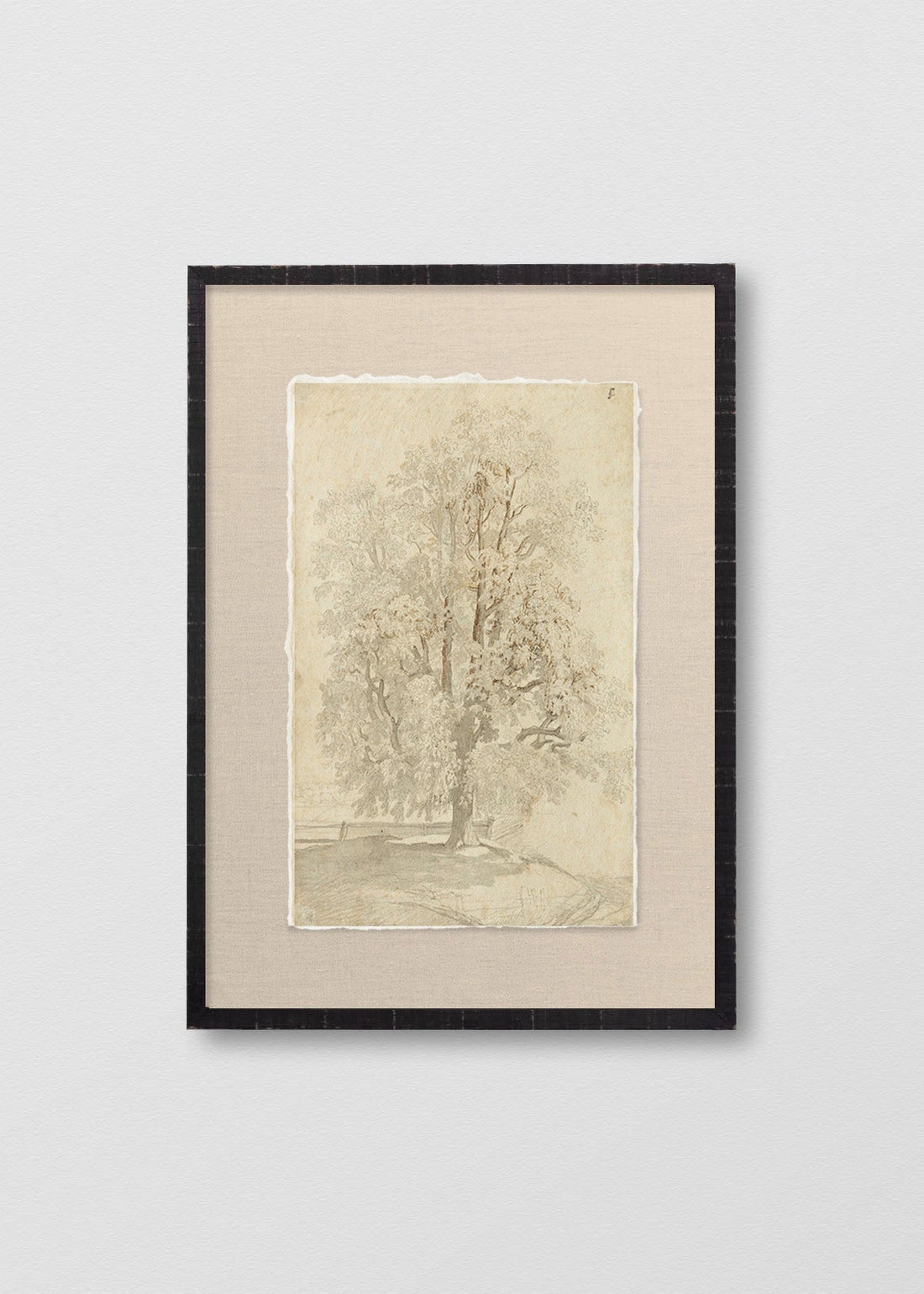 Dibujo El Árbol (V)