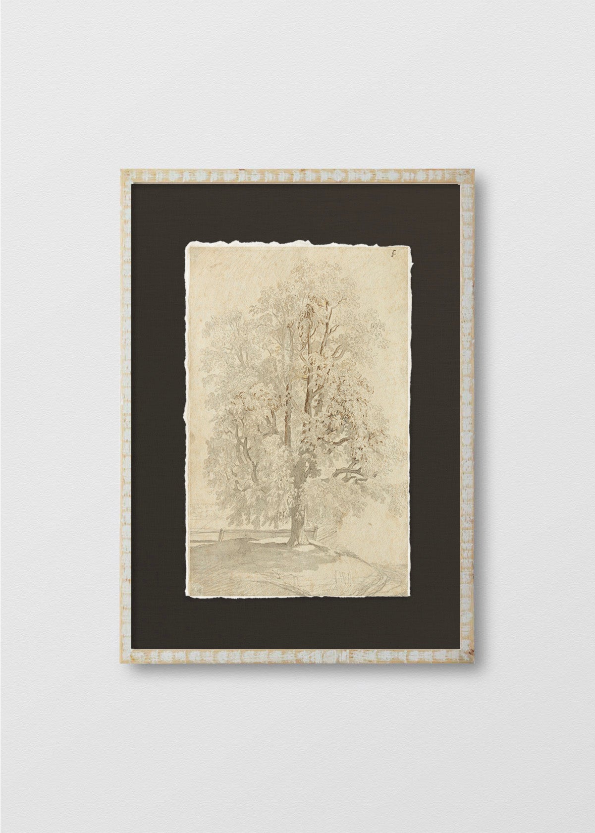 Cuadro Papiro Dibujo El Árbol