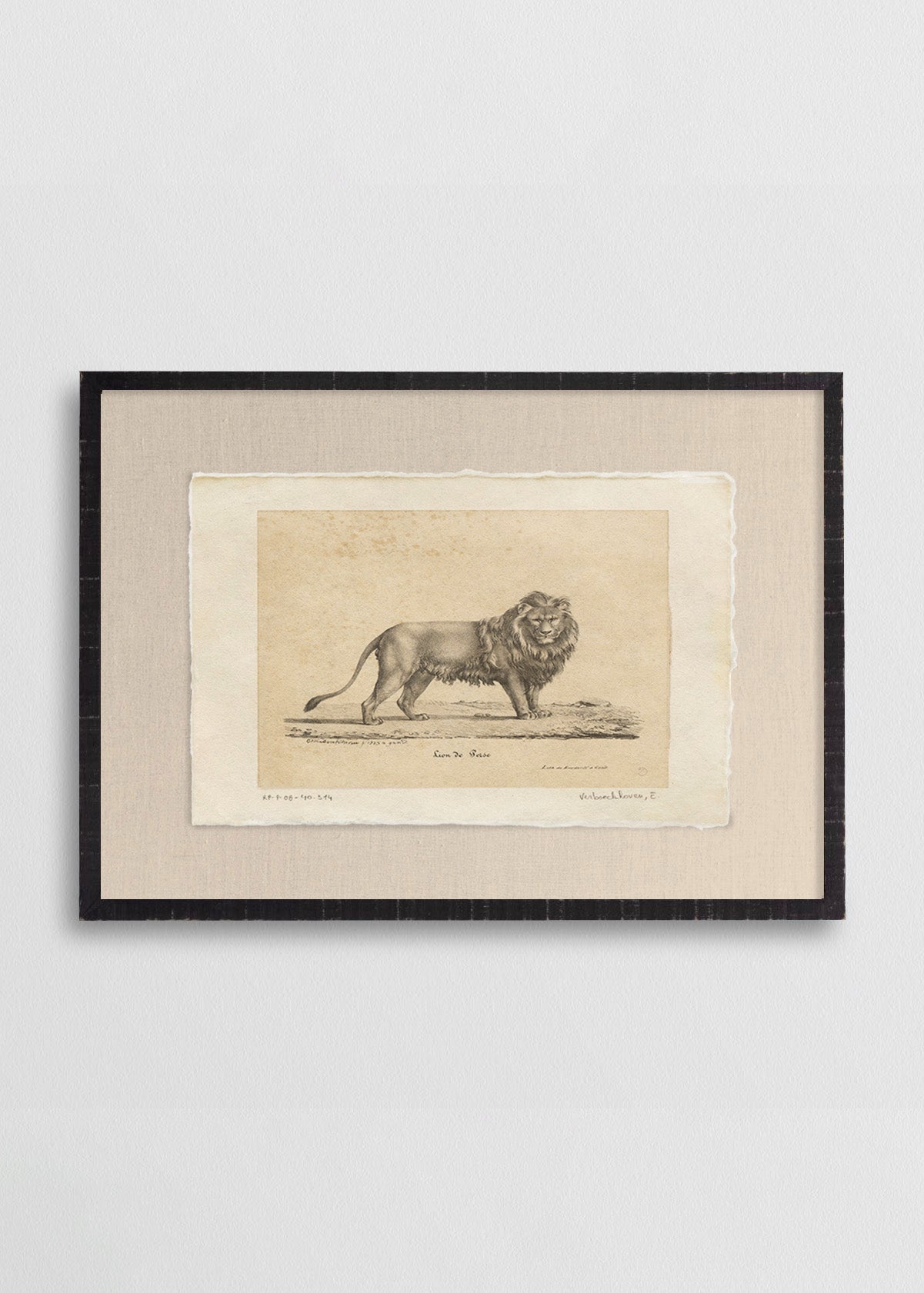 Cuadro Papiro Dibujo Leon I