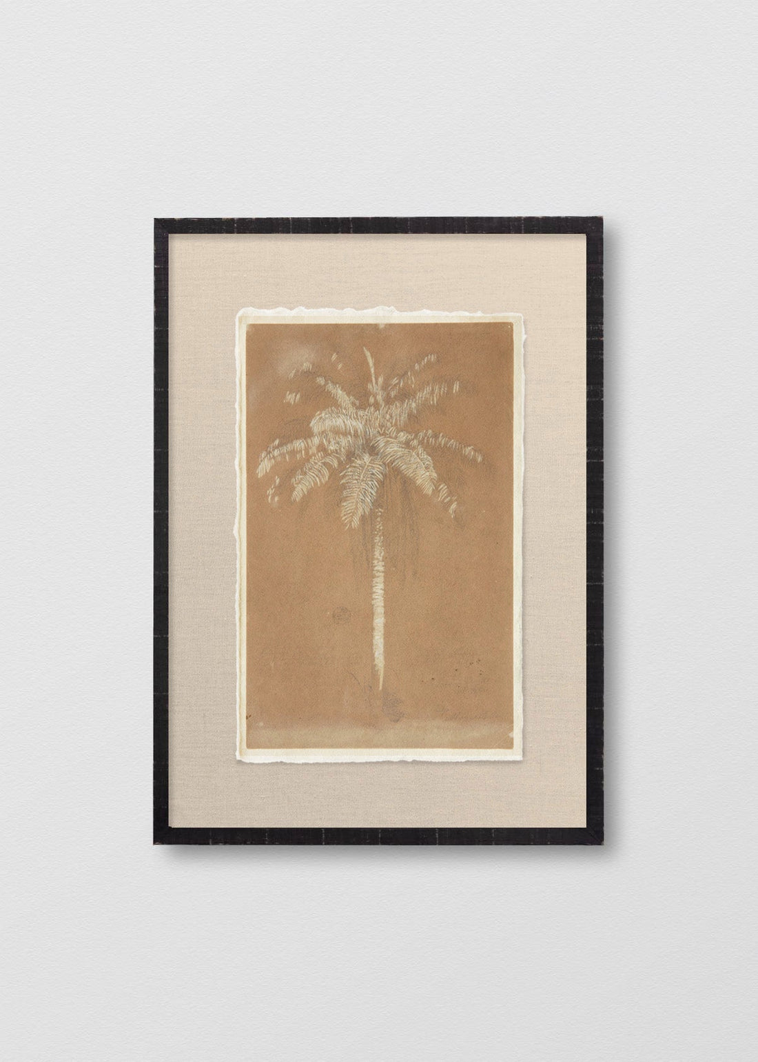 Palmera Terracota (V)