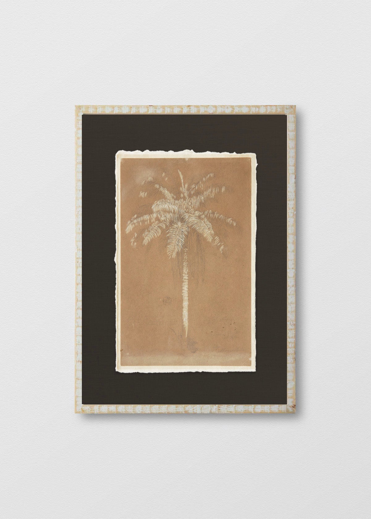 Cuadro Papiro Palmera Terracota