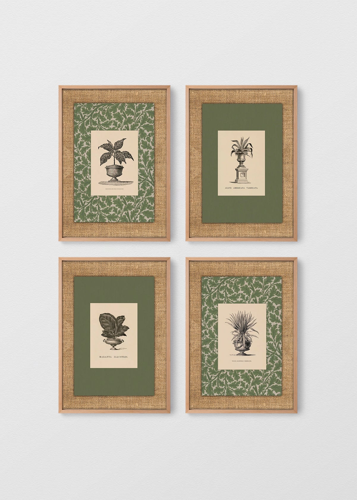MAÑÍO NATURAL ARPILLERA