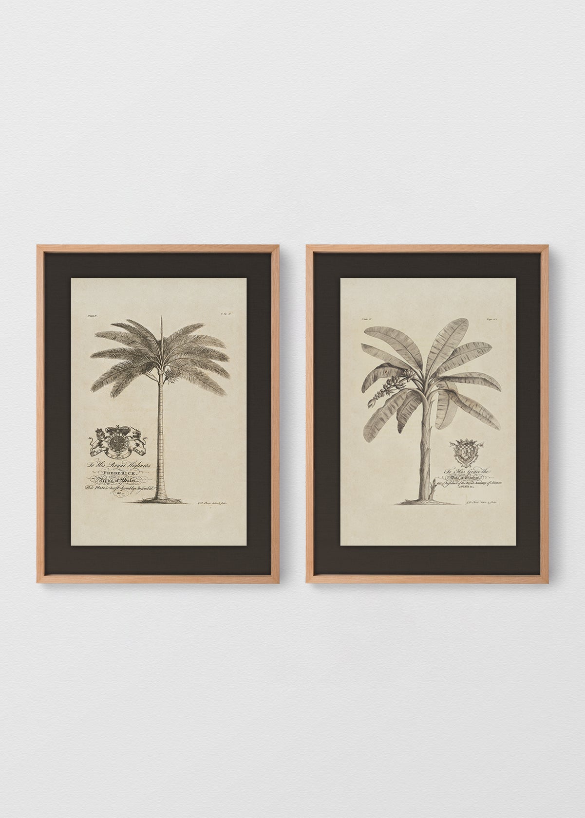MAÑÍO NATURAL LINO NEGRO