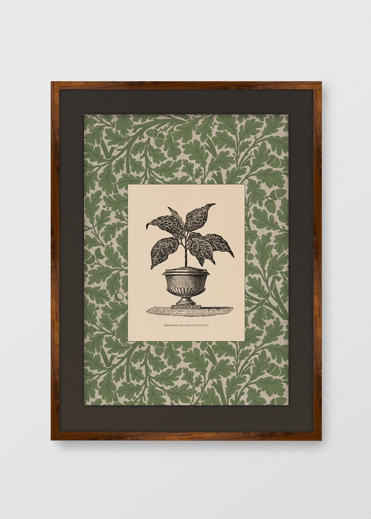 TINTE NOGAL LINO NEGRO
