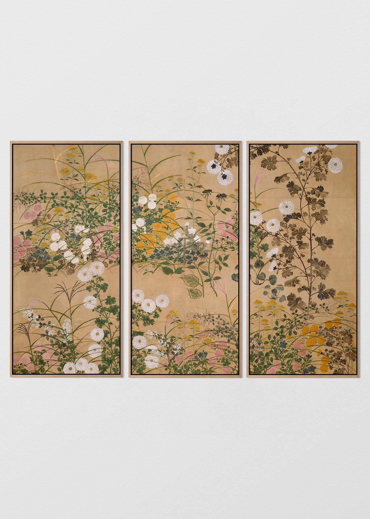 Caja Espaciada Mañío Natural