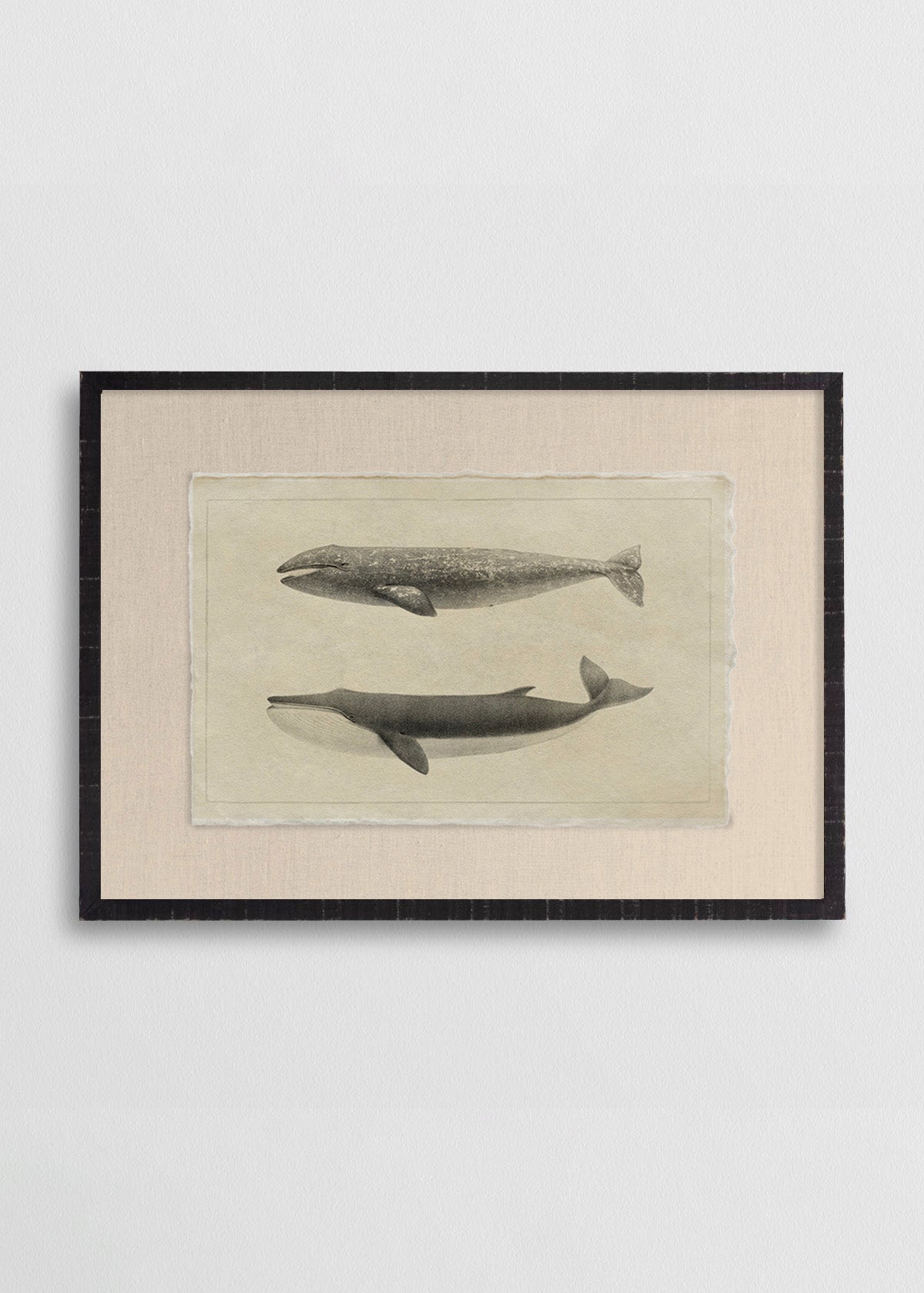 Cuadro Papiro Ballenas Jorobadas II