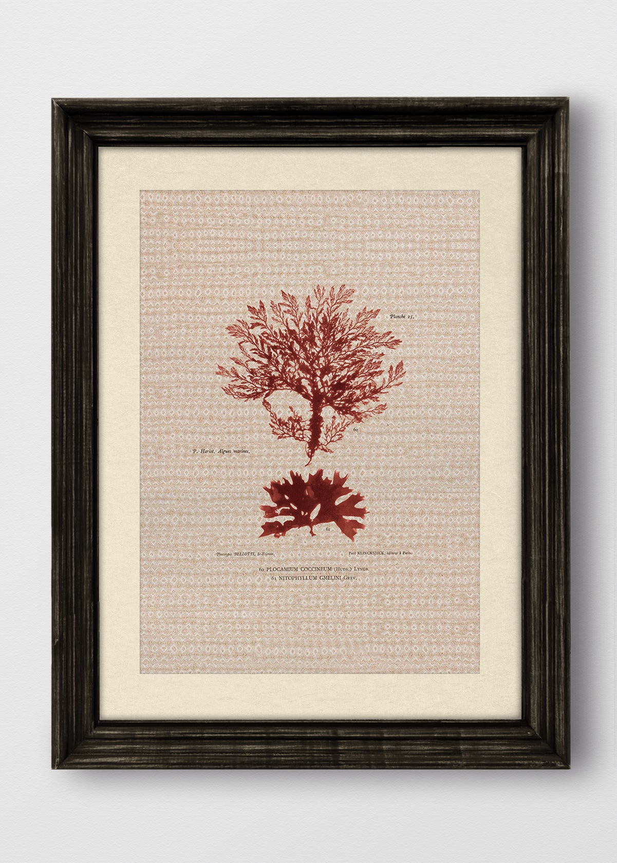 VINTAGE NEGRO BLANCO INVIERNO