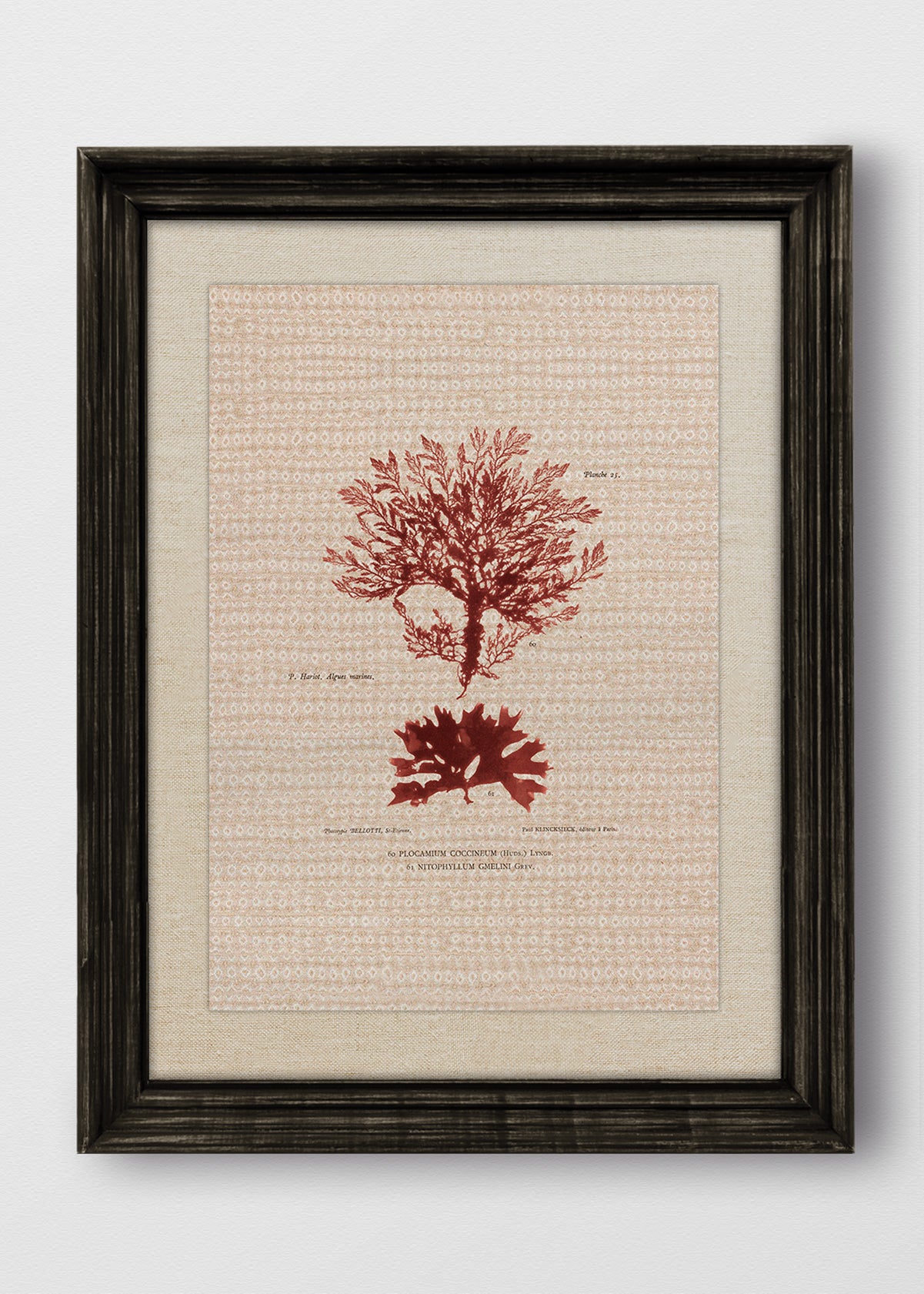 VINTAGE NEGRO LINO CRUDO