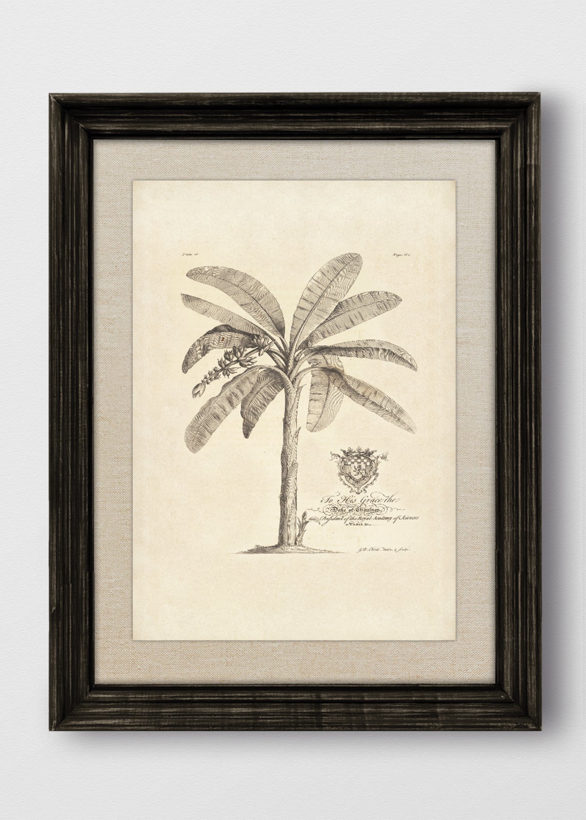 VINTAGE NEGRO LINO CRUDO
