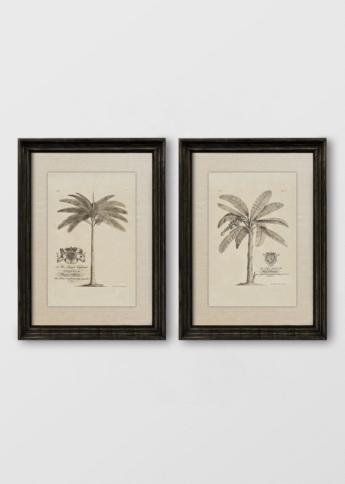 VINTAGE NEGRO LINO CRUDO