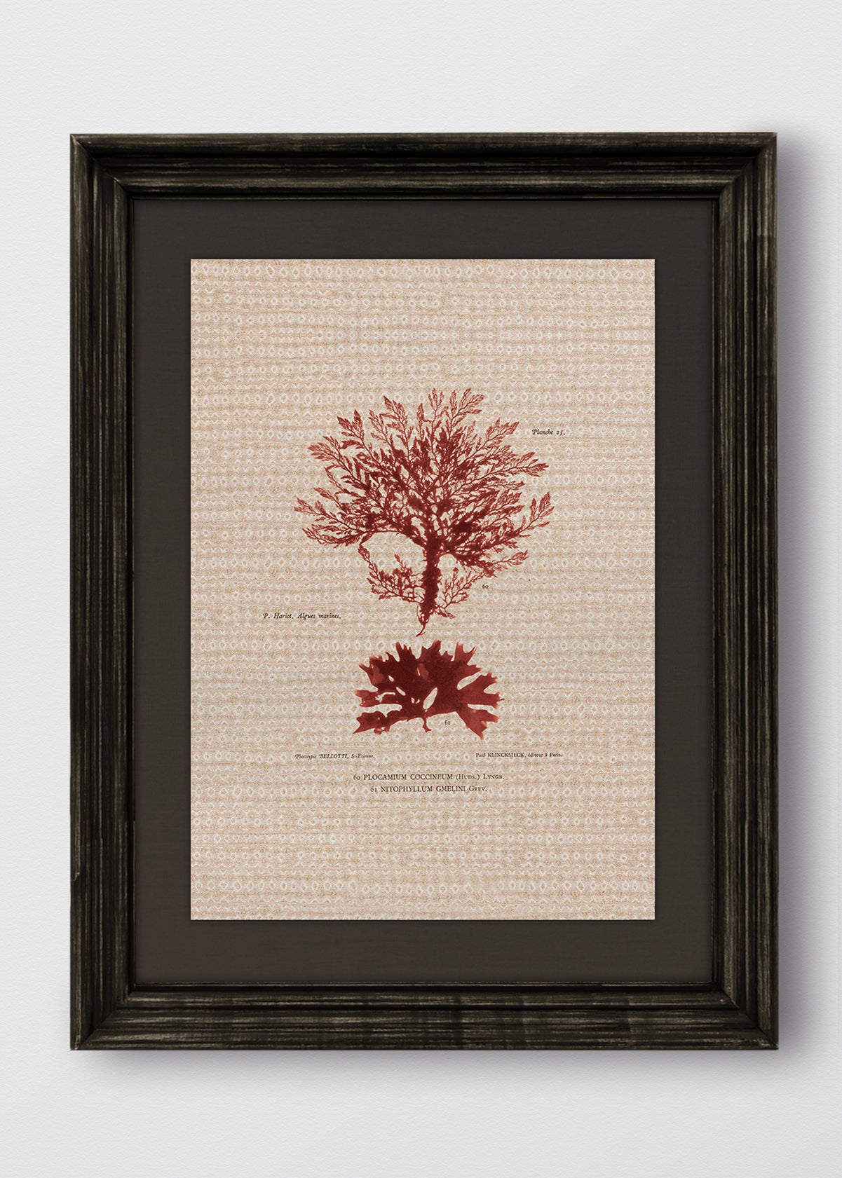 VINTAGE NEGRO LINO NEGRO