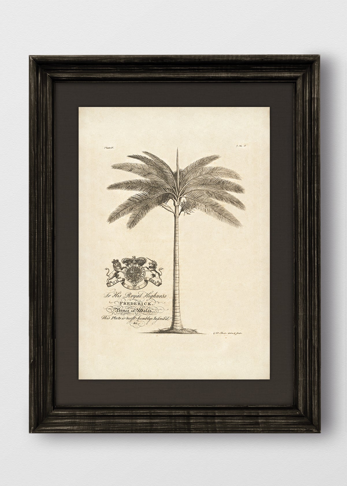 VINTAGE NEGRO LINO NEGRO