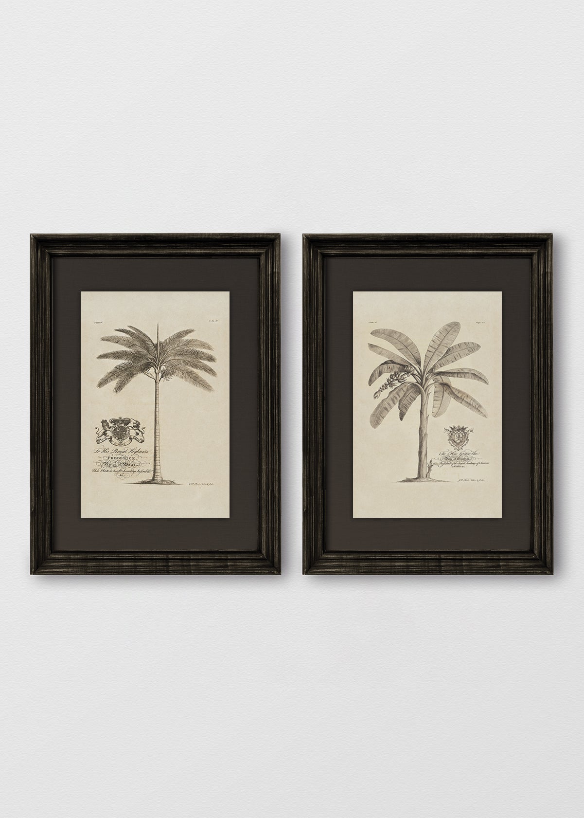 VINTAGE NEGRO LINO NEGRO