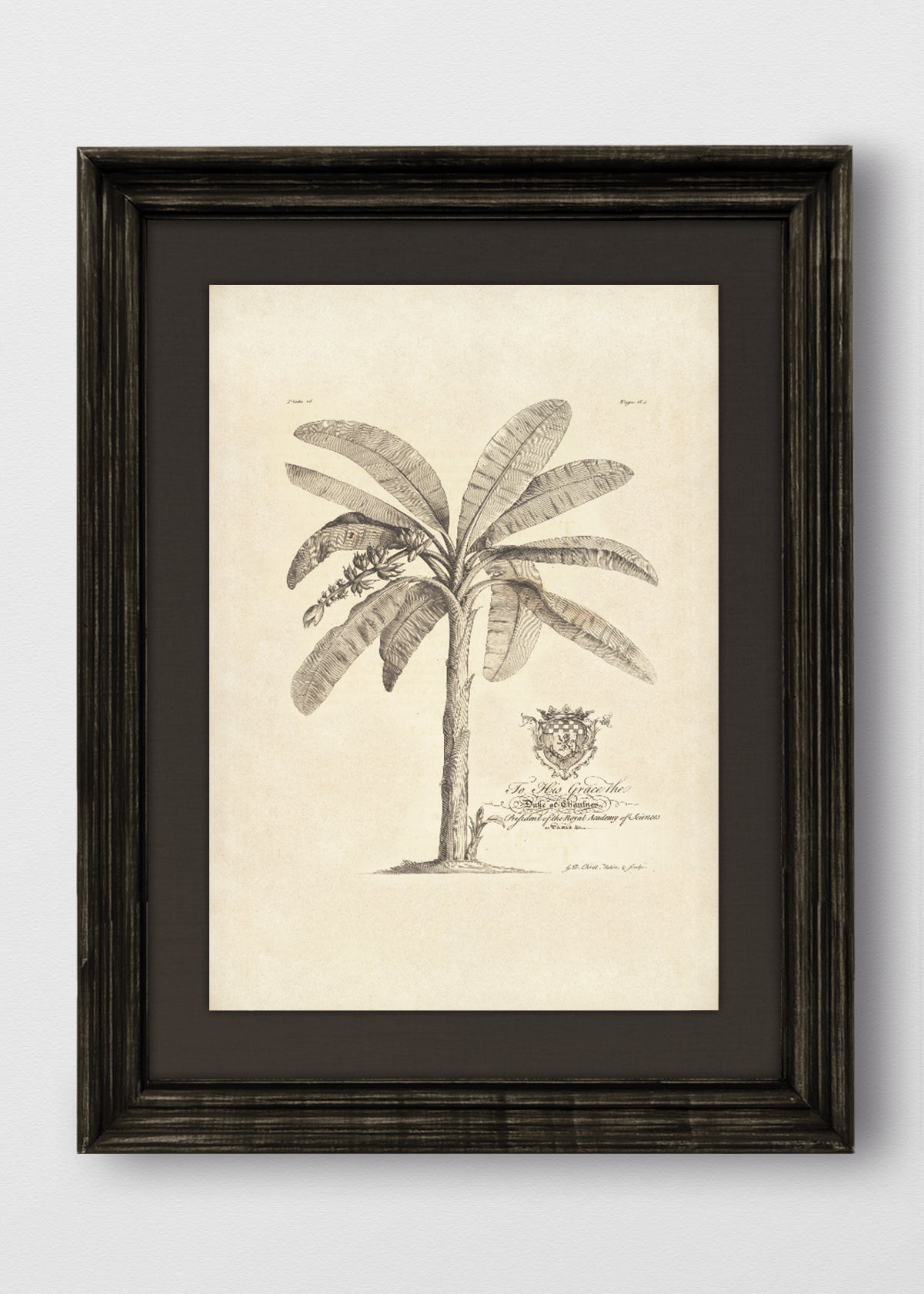 VINTAGE NEGRO LINO NEGRO