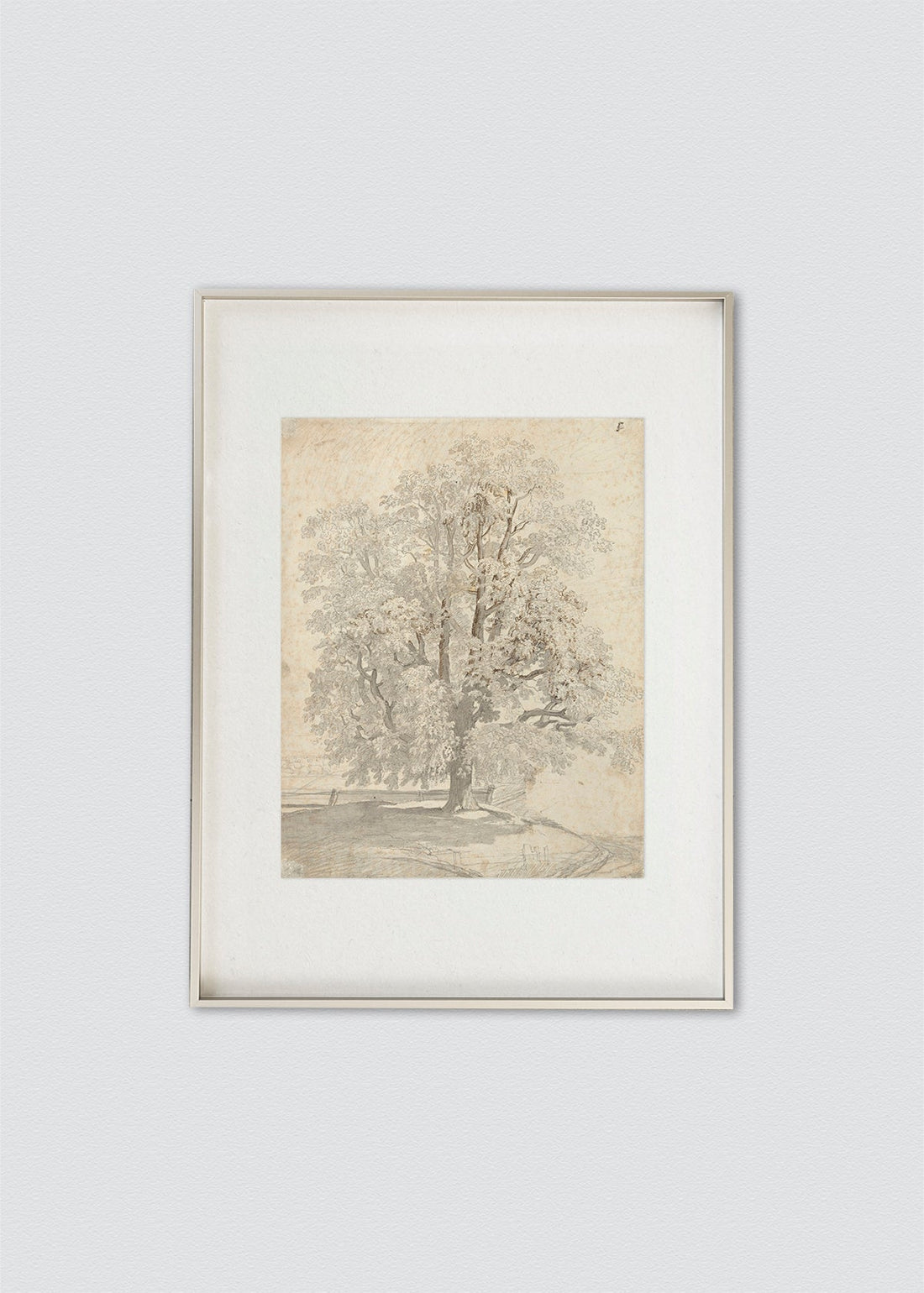 Dibujo el árbol marco aluminio (V)