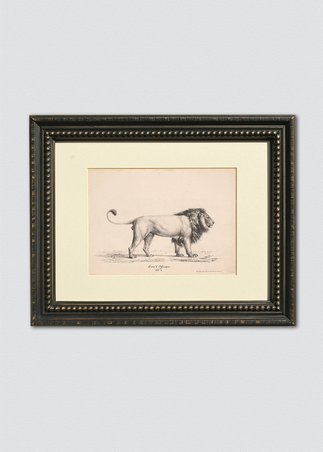 Dibujo león ii marco perlas (V)