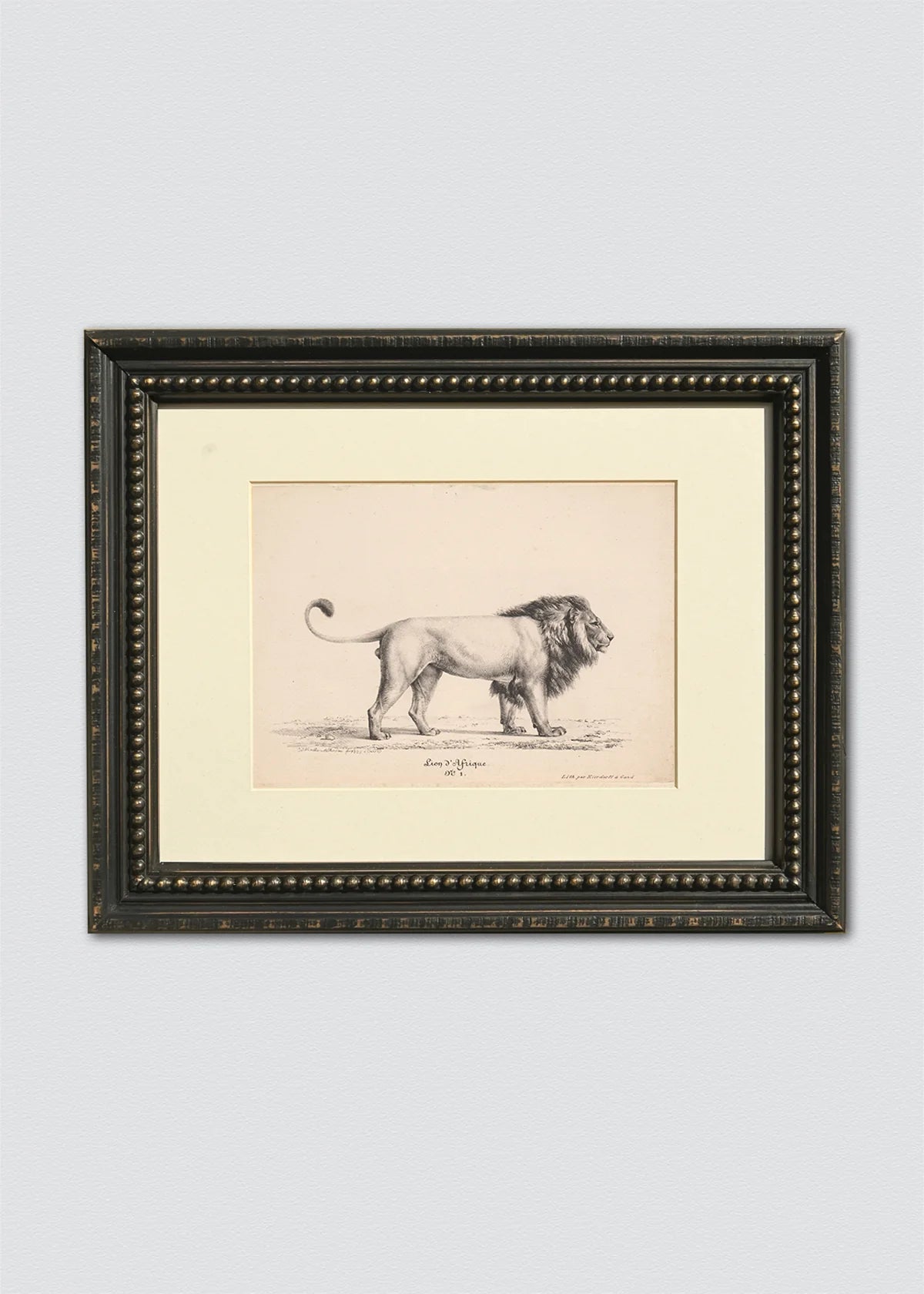 Set Cuadros Papel Algodón dibujo leones marco perlas