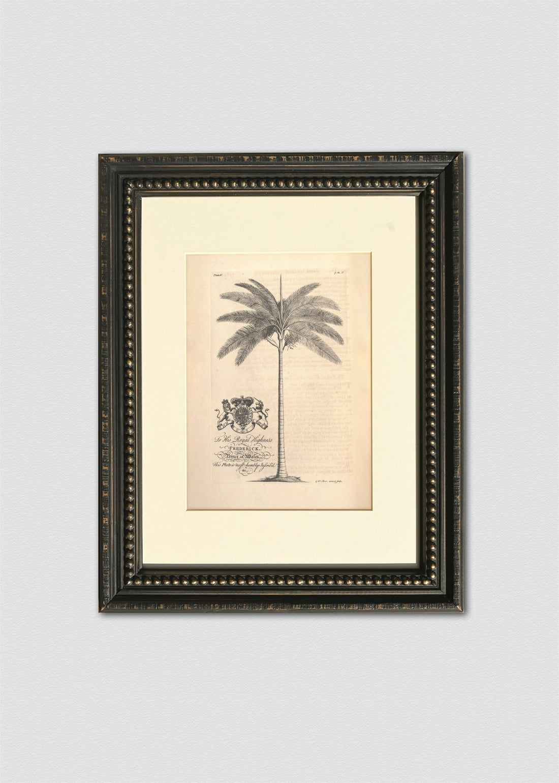 Dibujo palnera antigua I marco vintage perlas (V)