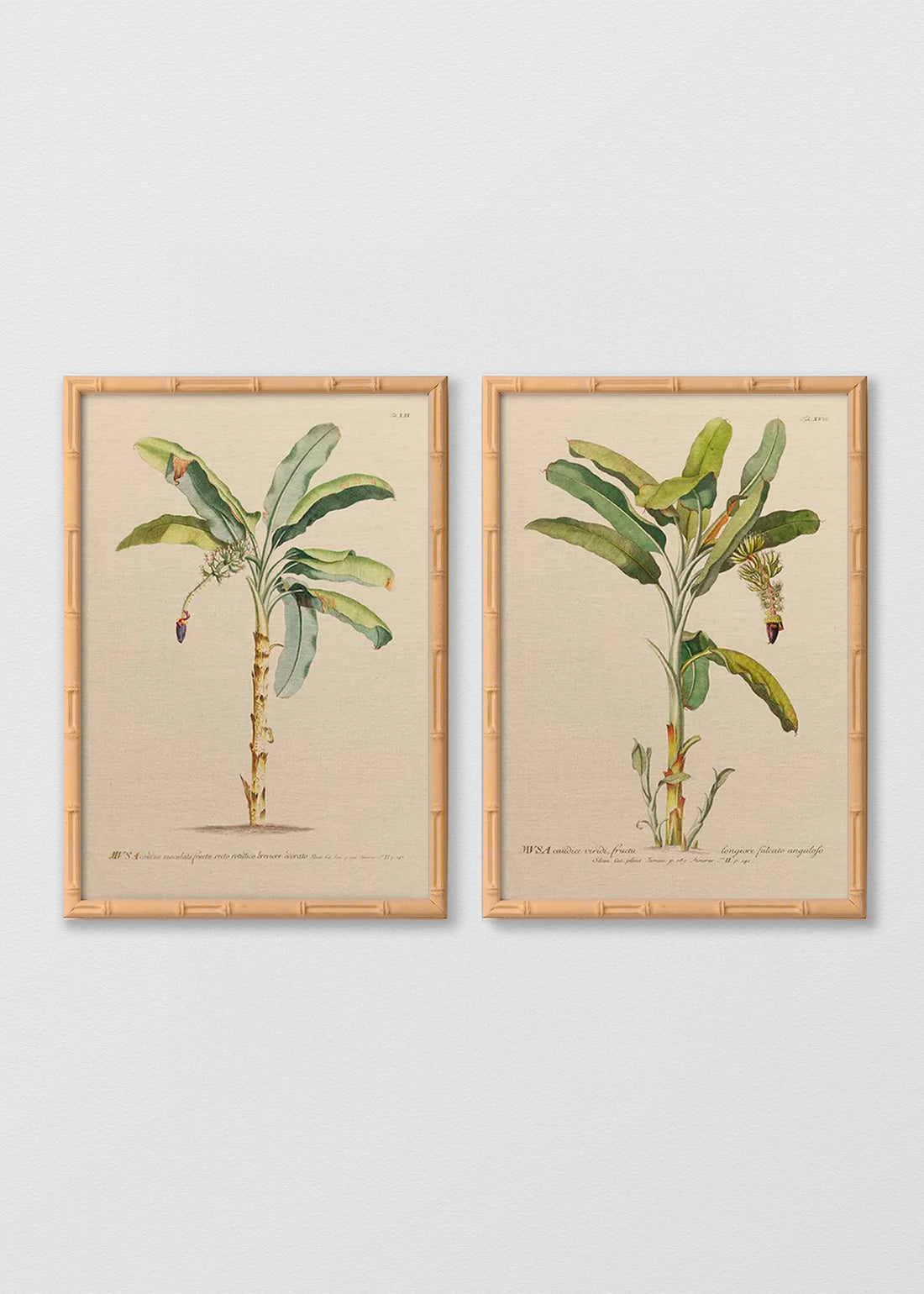 Set Cuadros lino bananos