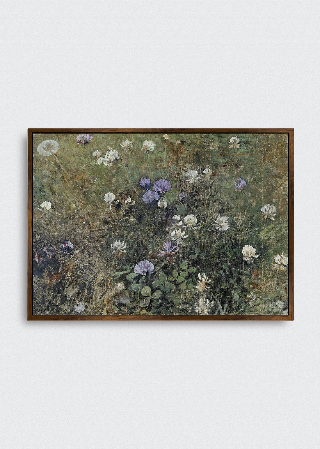 Flores silvestres (V)