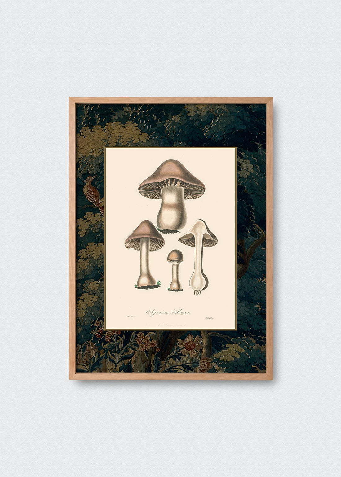 Cuadro Papel Algodón Hongos Bosque y Pájaros
