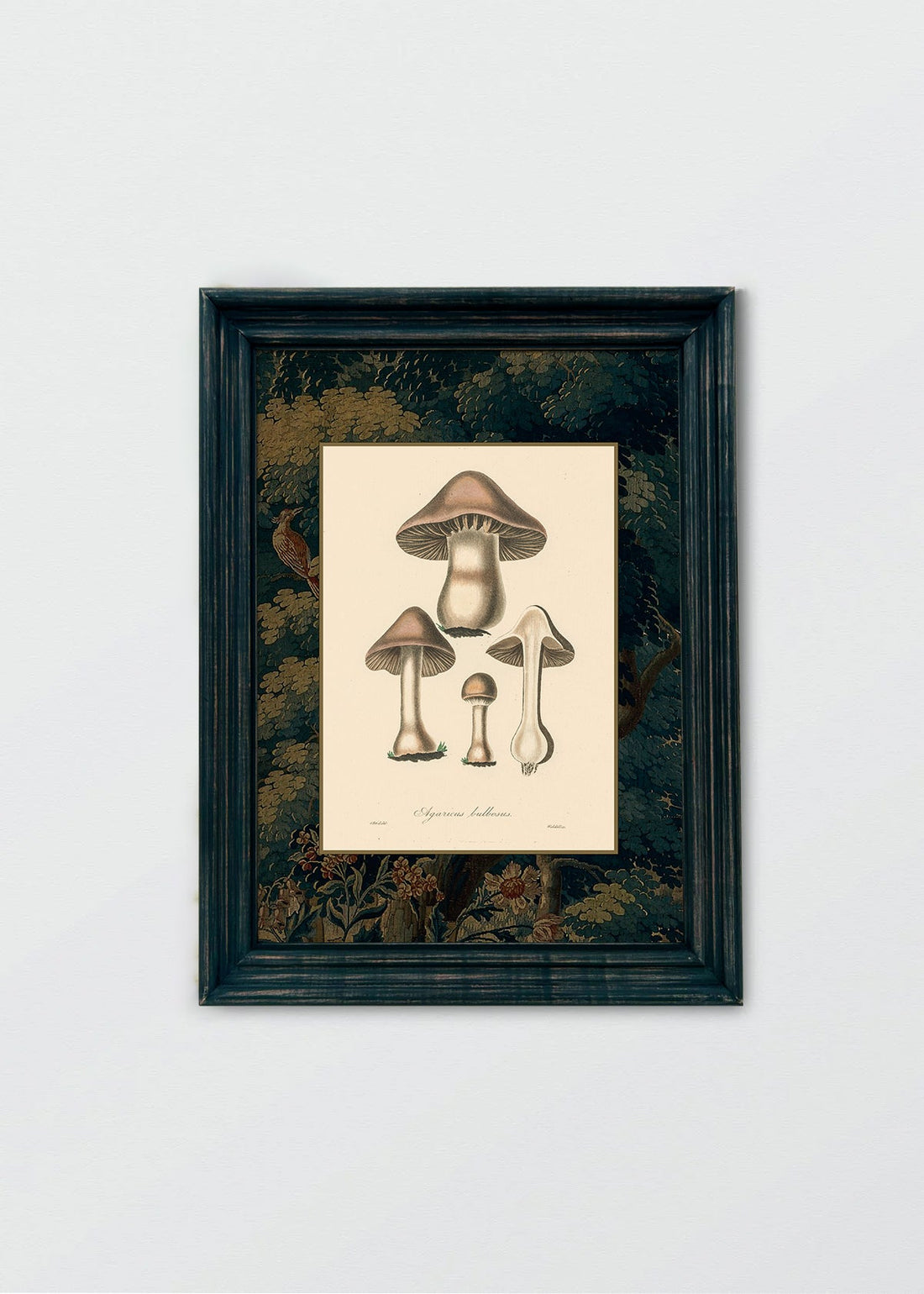 Hongos Bosque y Pájaros I (V)