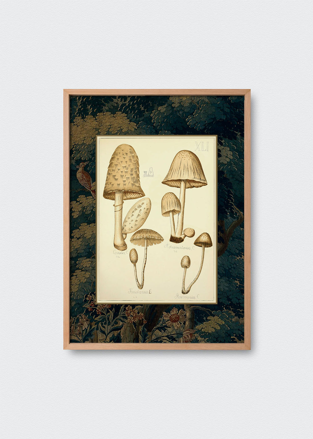 Cuadro Papel Algodón Hongos Bosque y Pájaros II