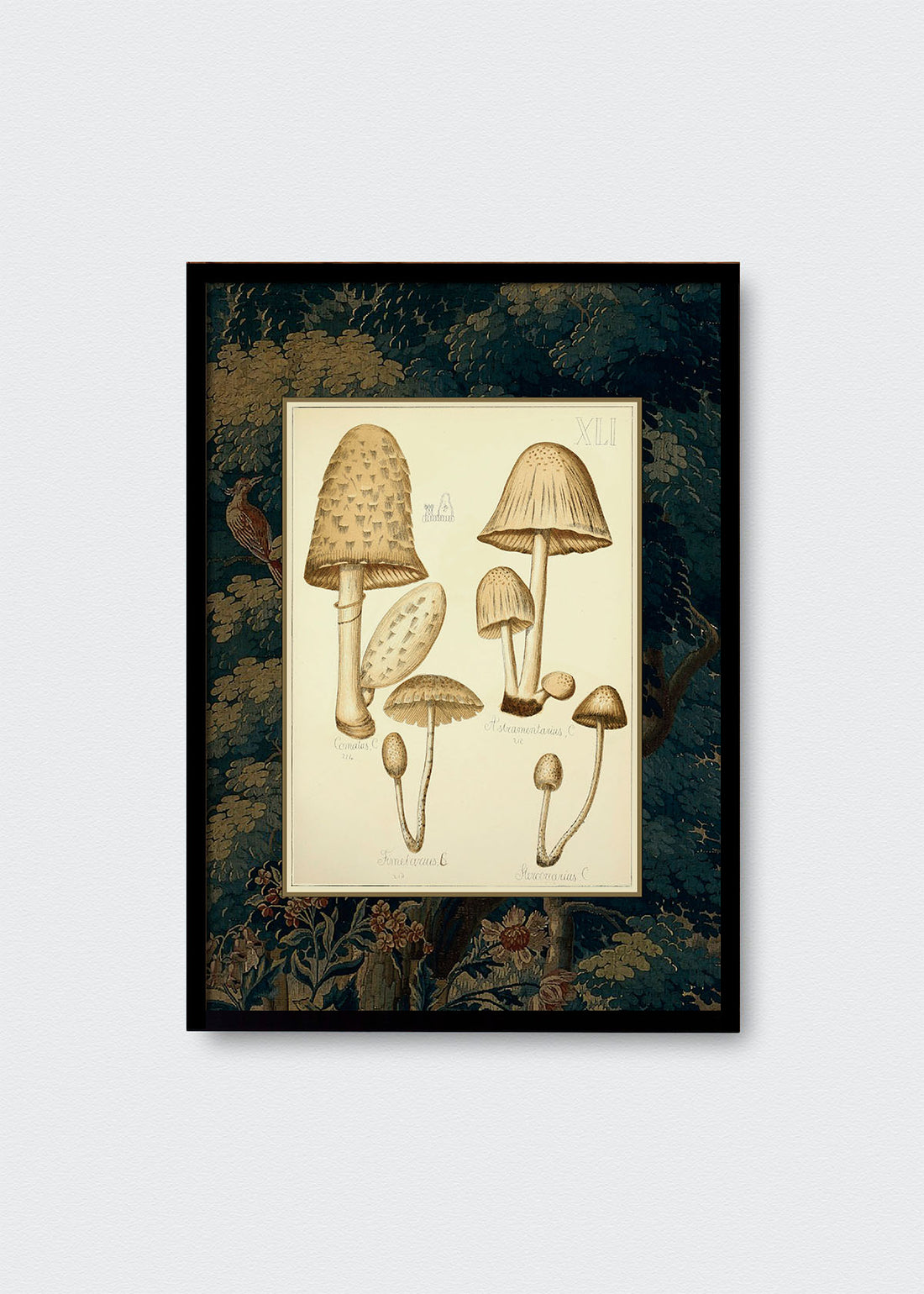 Cuadro Papel Algodón Hongos Bosque y Pájaros II