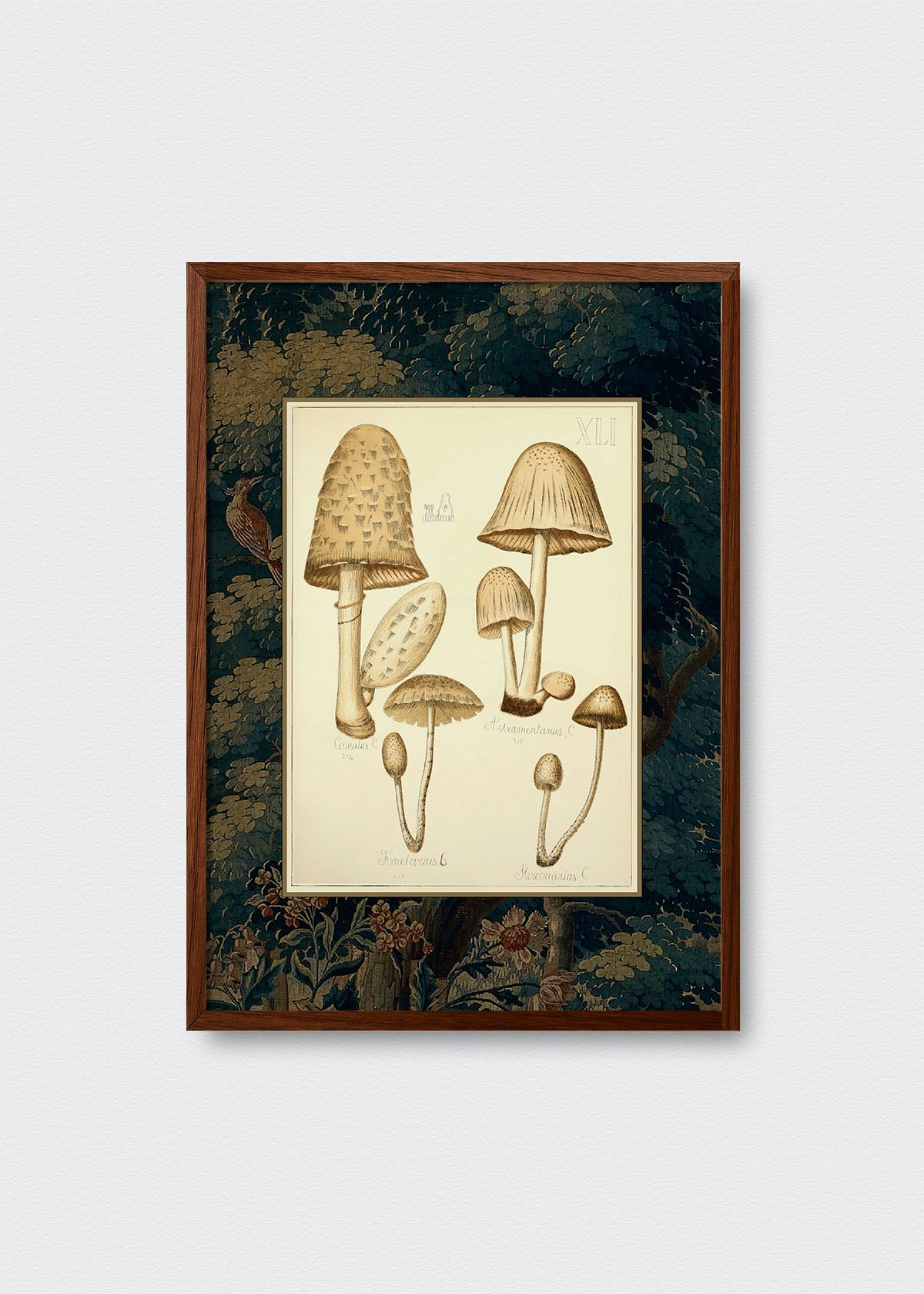 Cuadro Papel Algodón Hongos Bosque y Pájaros II