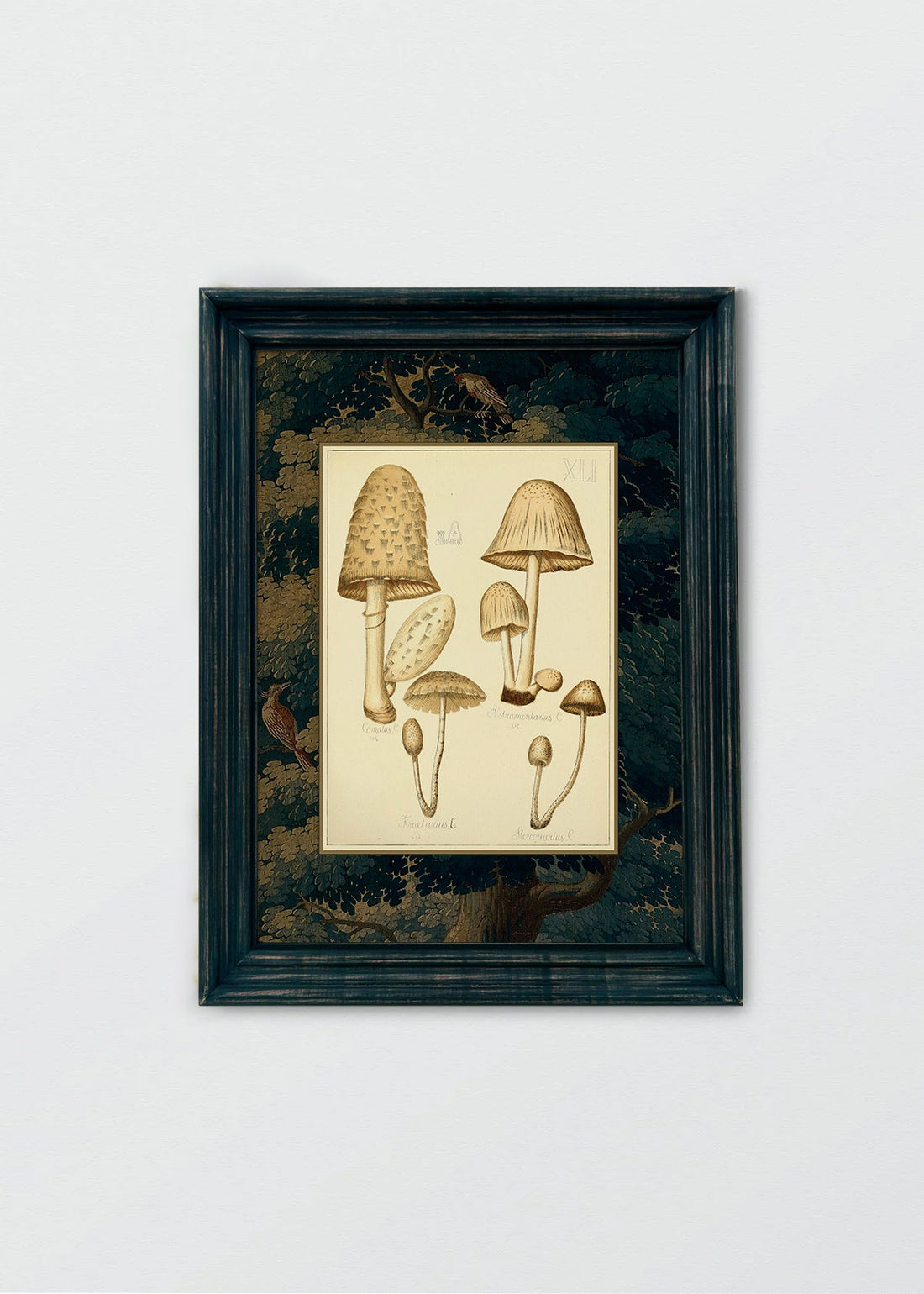 Hongos Bosque y Pájaros II (V)