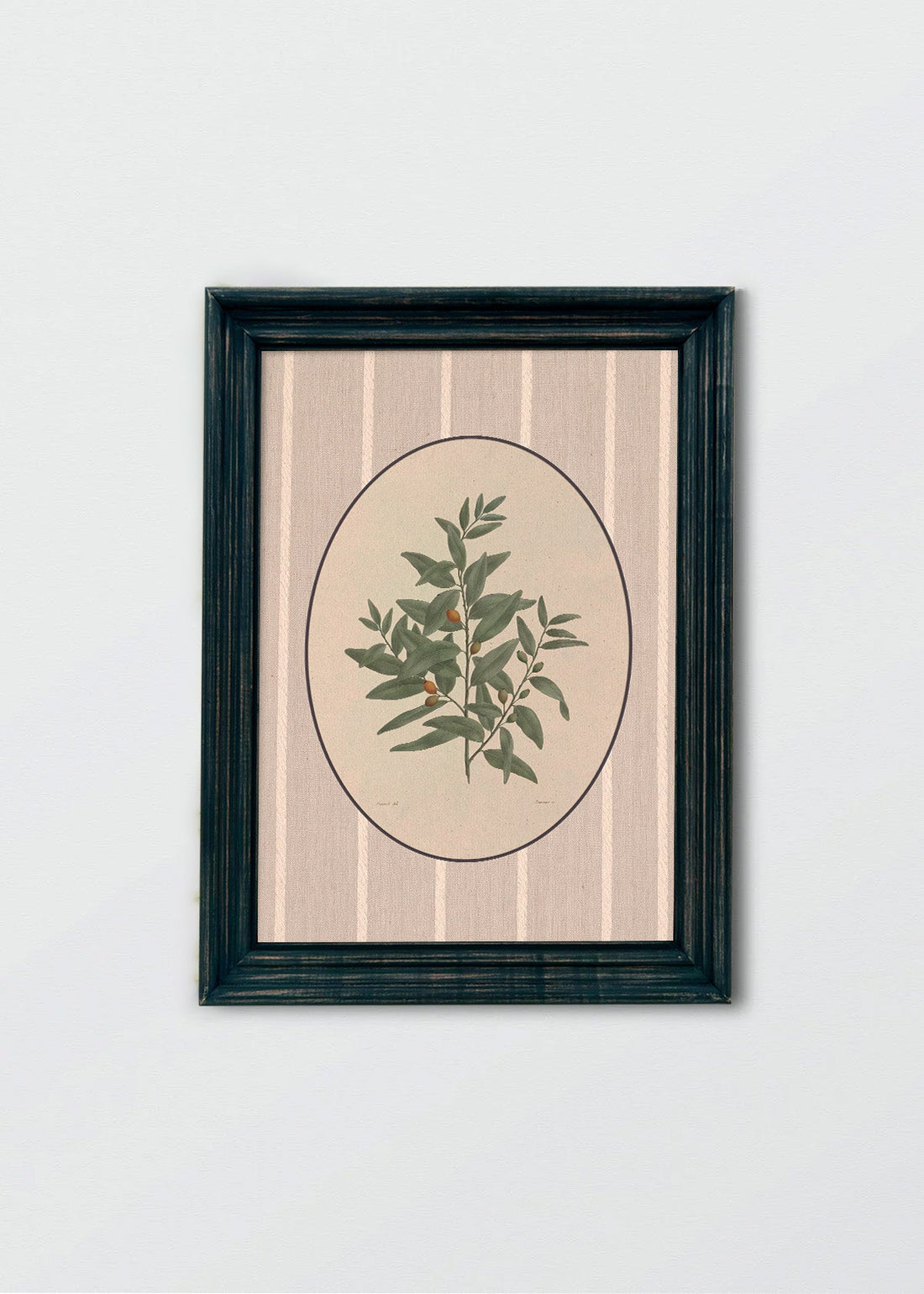 Flora I Bosque Chileno (V)