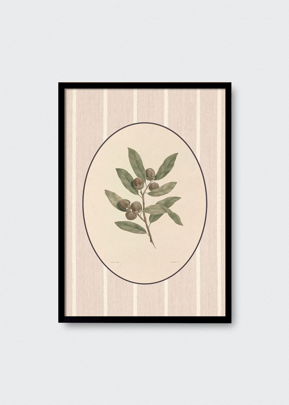 Cuadro Papel Algodón Flora II Bosque Chileno