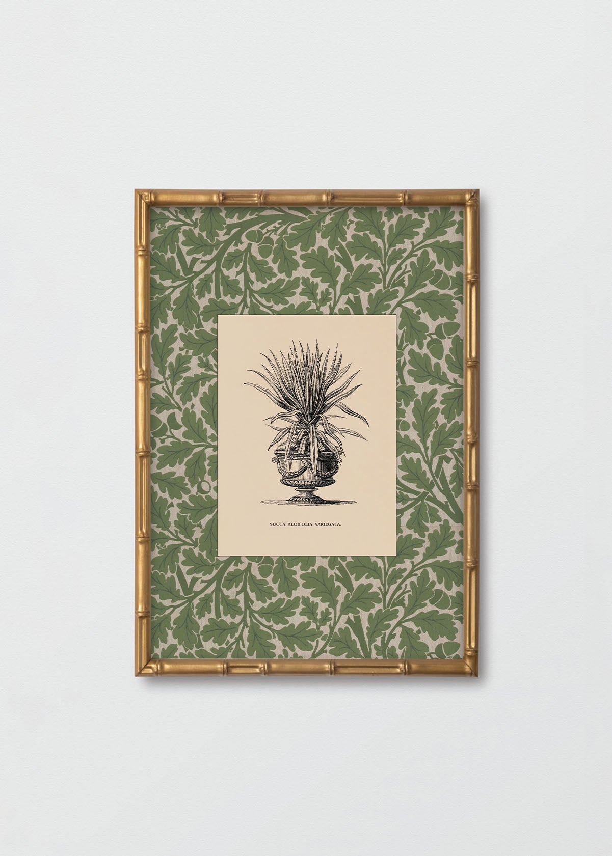 Cuadro Papel Algodón Planta I Morris