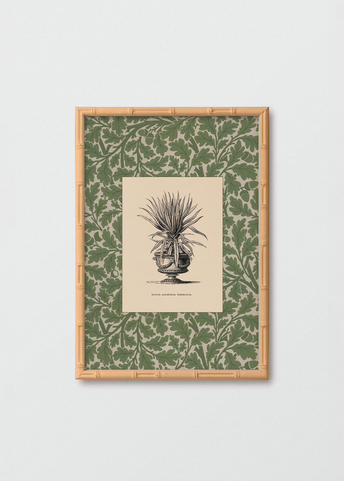 Cuadro Papel Algodón Planta I Morris