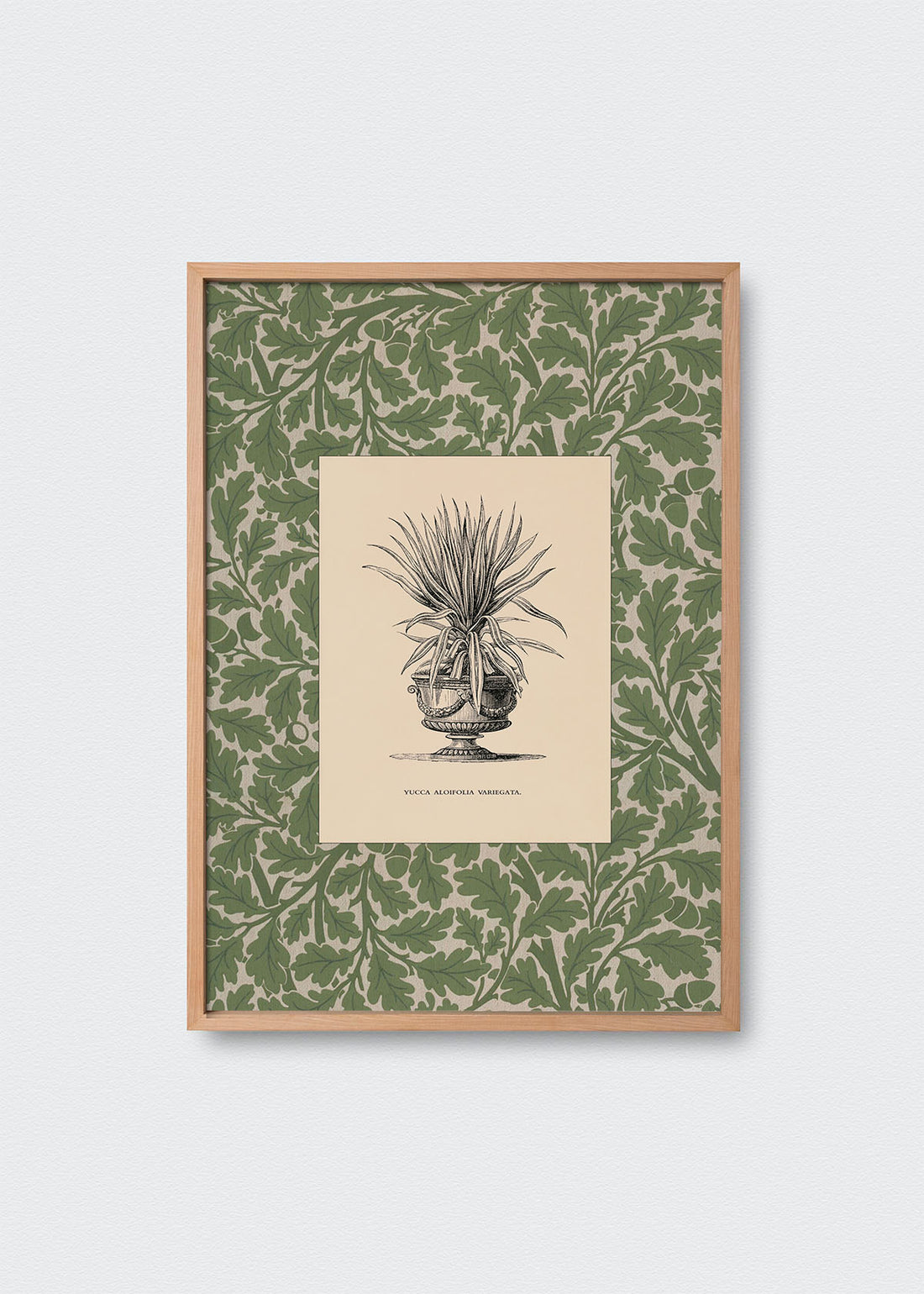 Cuadro Papel Algodón Planta I Morris