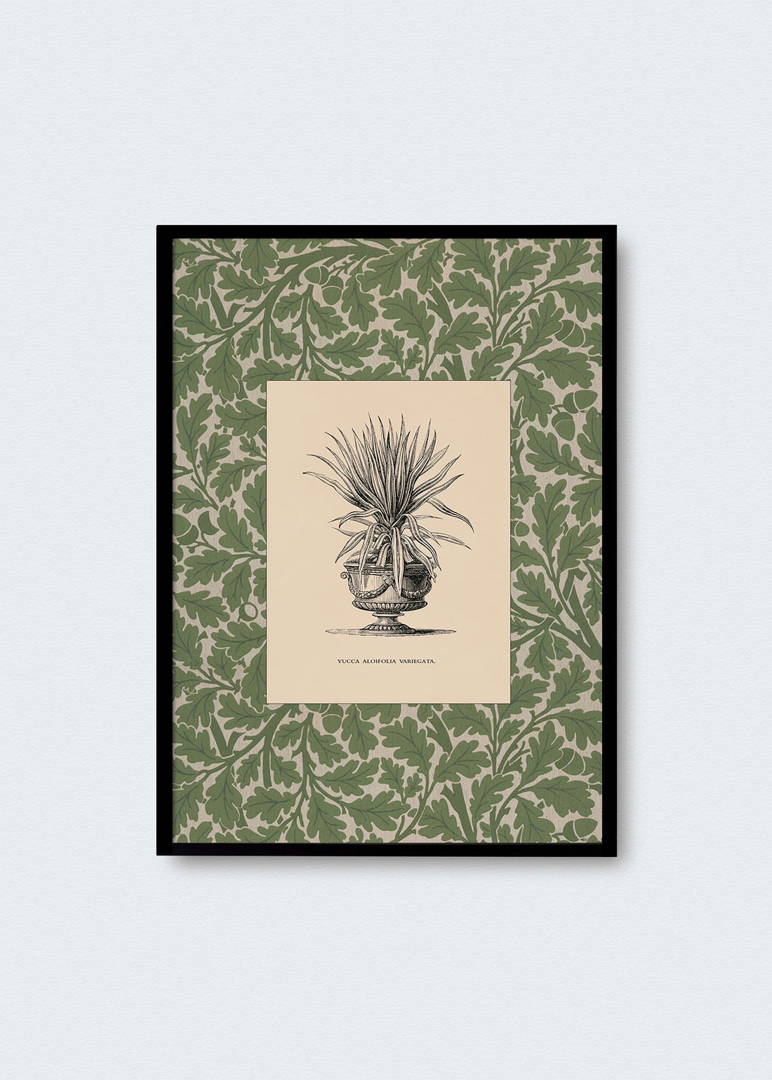 Cuadro Papel Algodón Planta I Morris