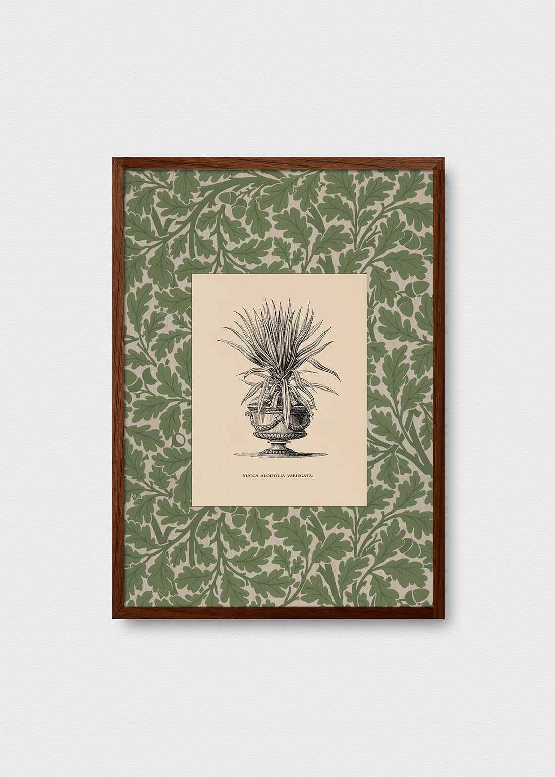 Cuadro Papel Algodón Planta I Morris