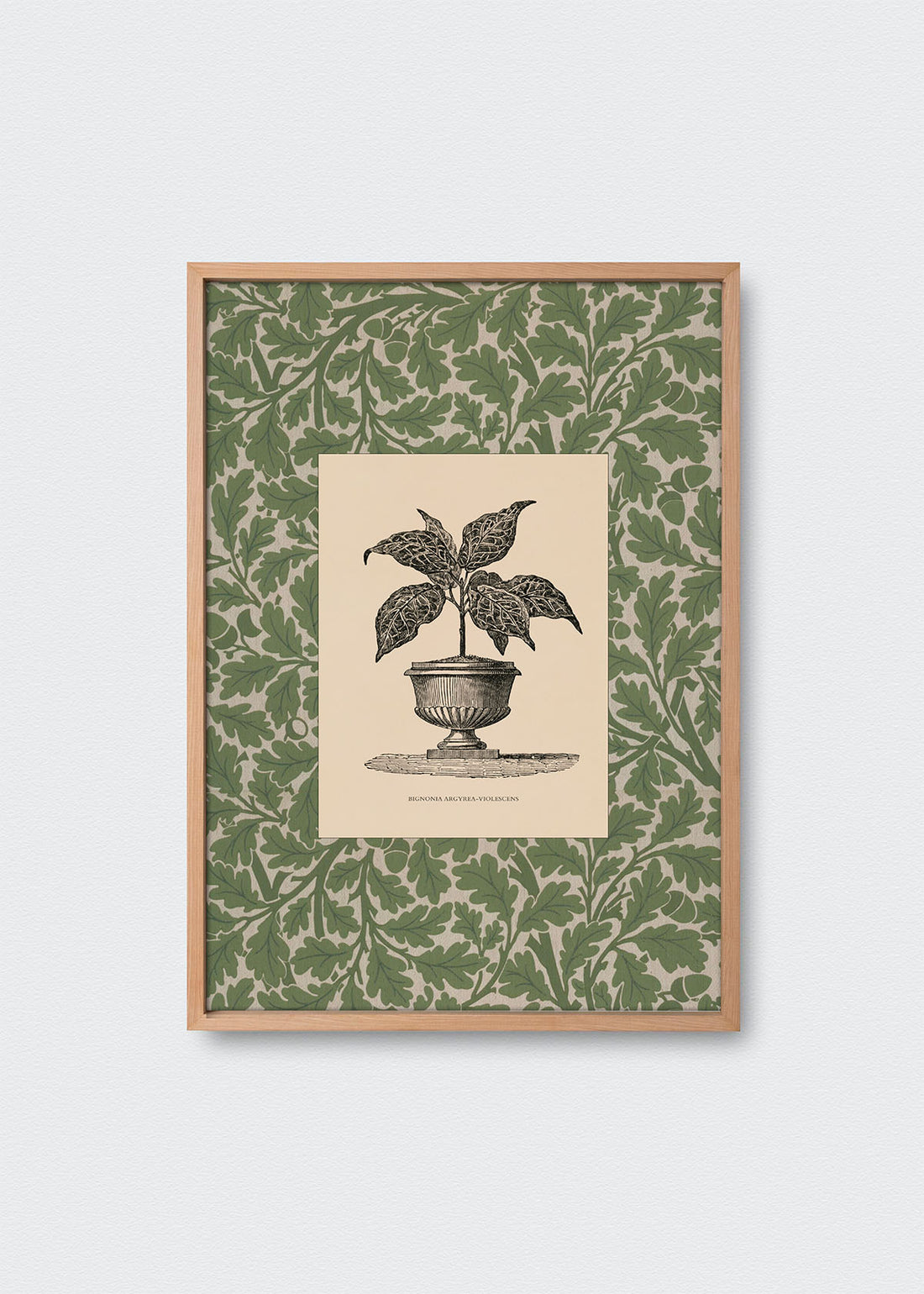 Cuadro Papel Algodón Planta II Morris