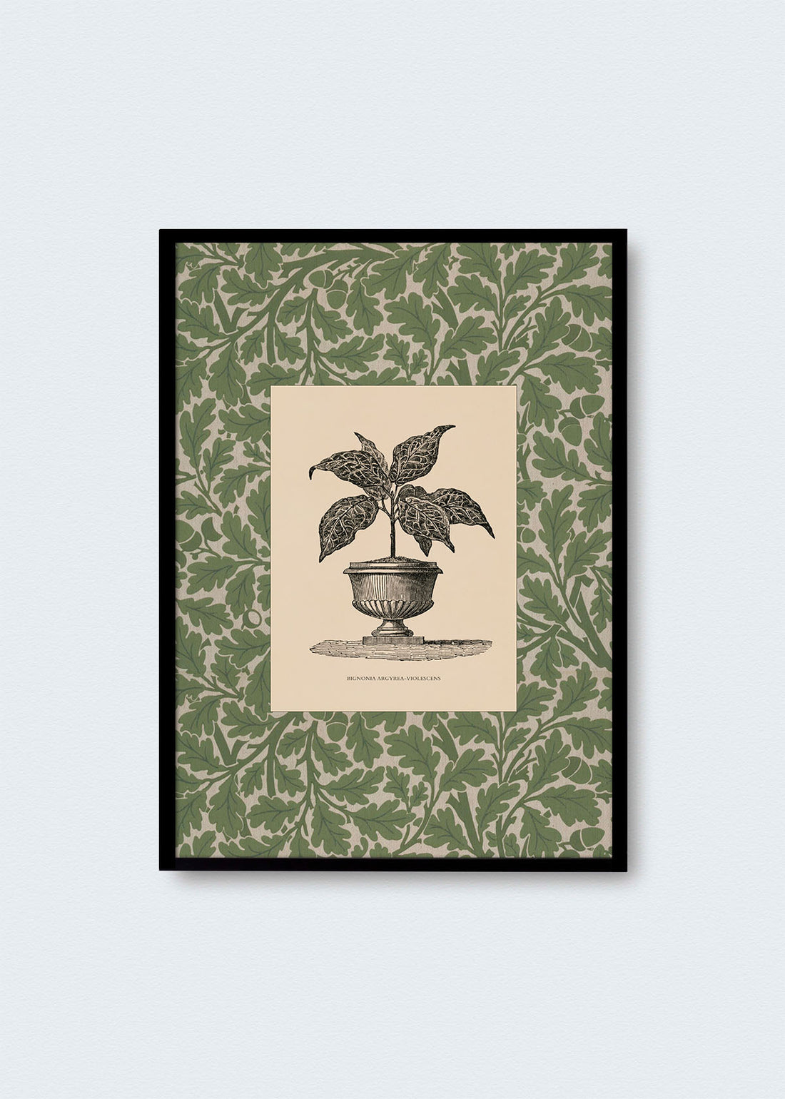 Cuadro Papel Algodón Planta II Morris