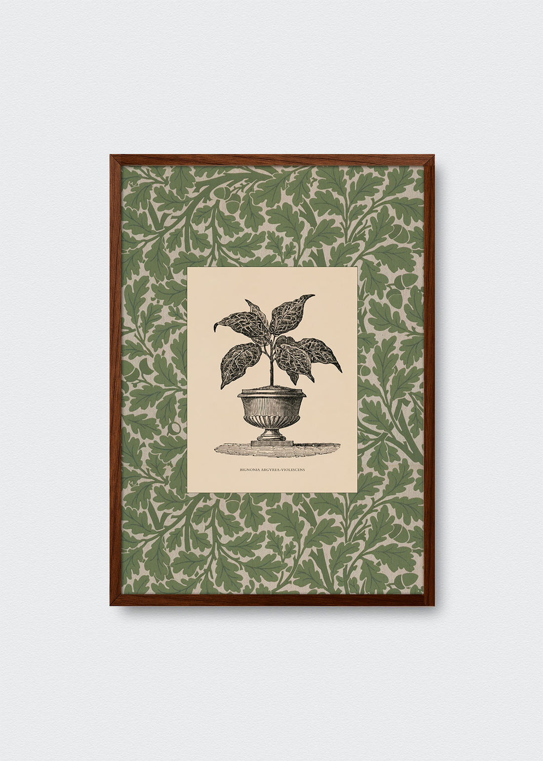 Regalo Entrega Flash - Cuadro Papel Algodón Planta II Morris