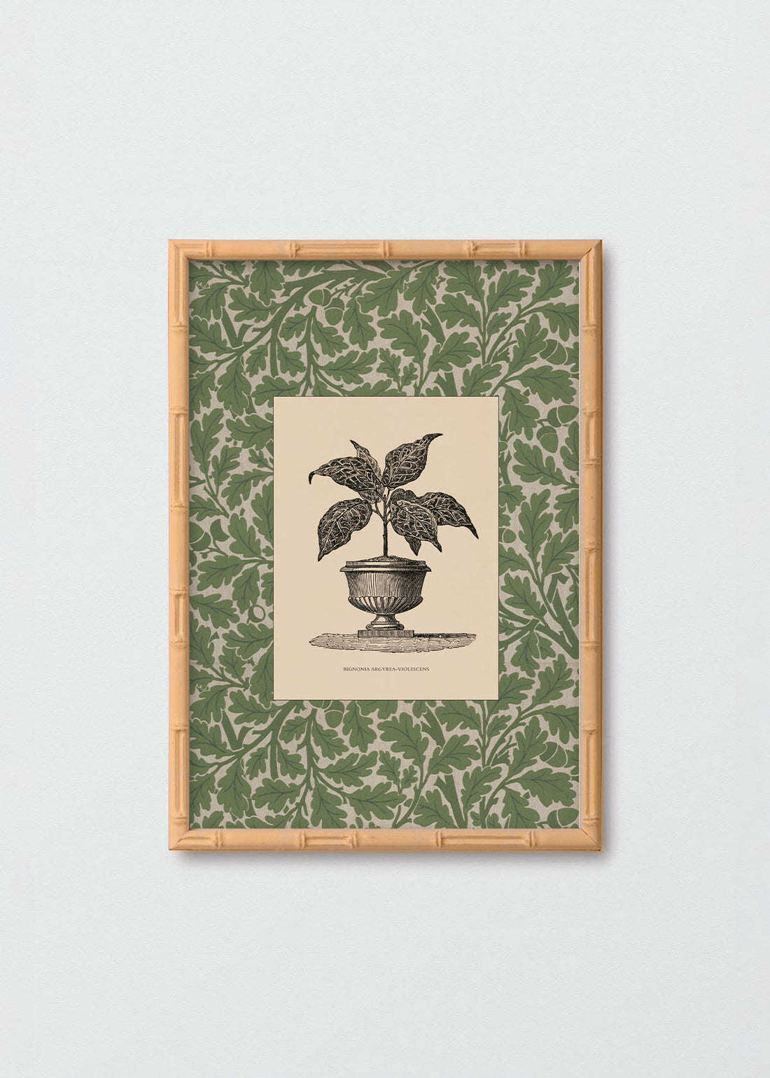 Cuadro Papel Algodón Planta II Morris