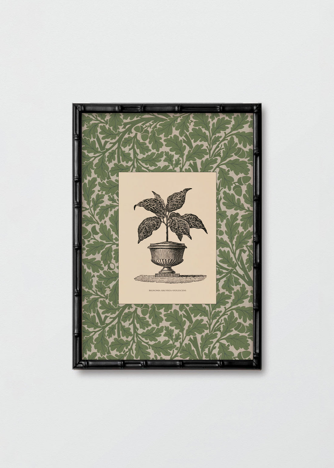 Regalo Entrega Flash - Cuadro Papel Algodón Planta II Morris