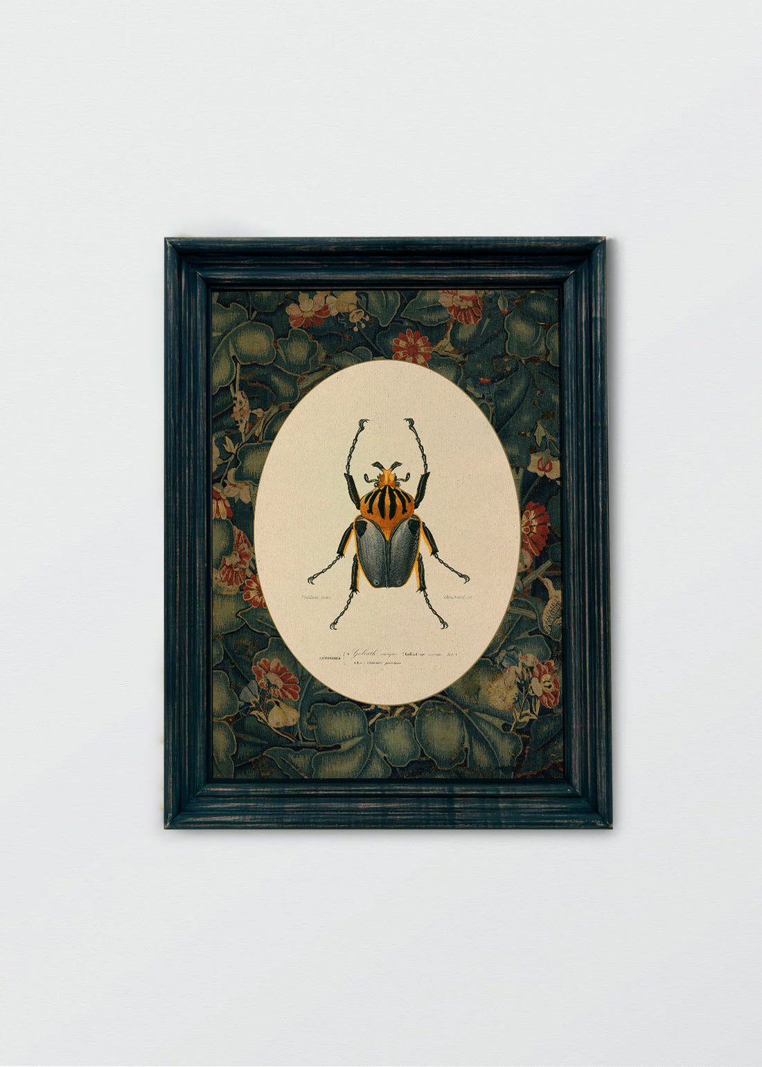 Regalo Entrega Flash - Cuadro Papel Algodón Insectario Inglés N3