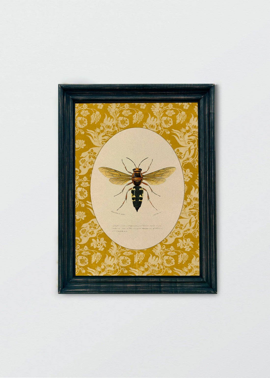 Insectario Inglés N4 (V)