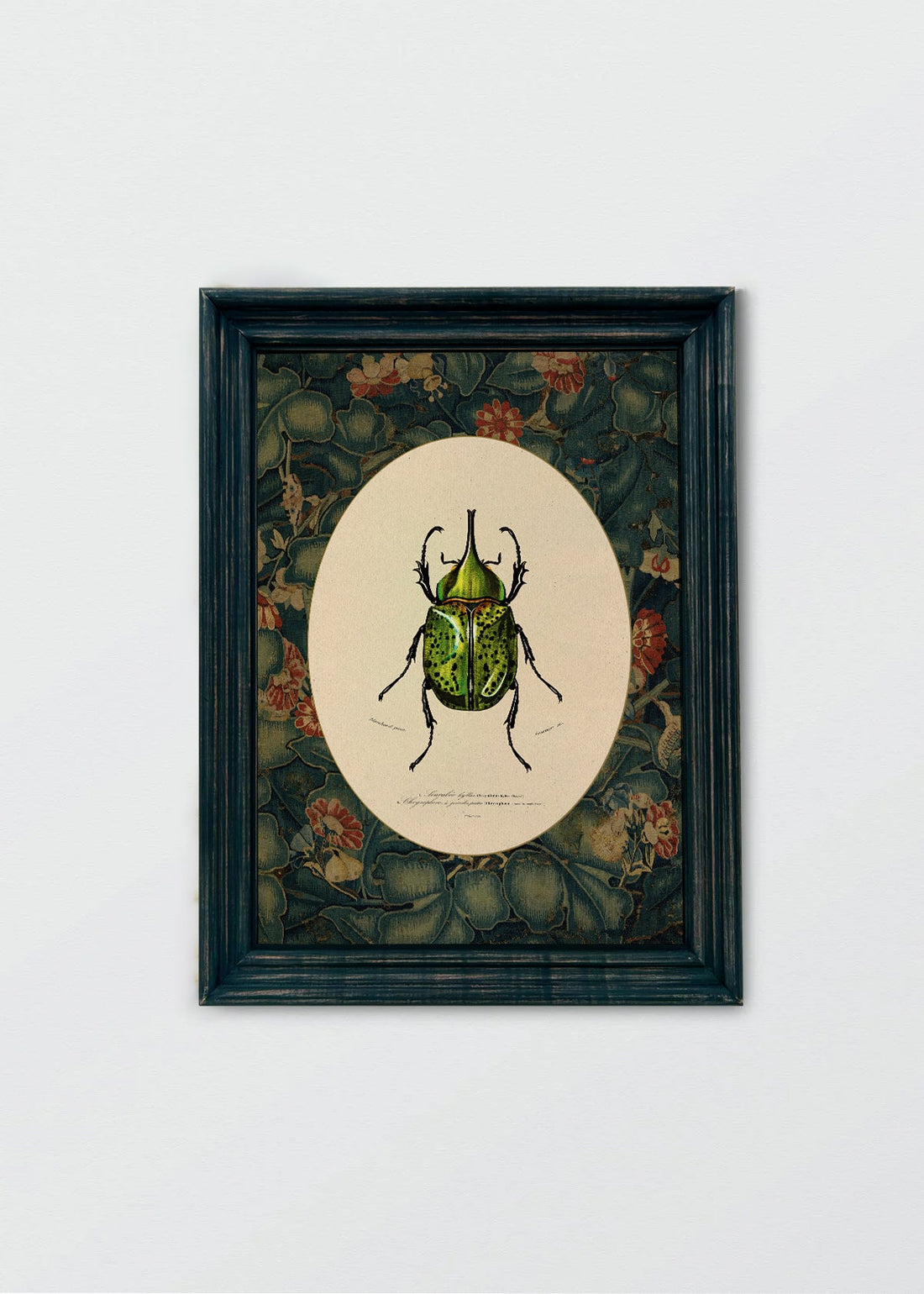 Insectario Inglés N2 (V)