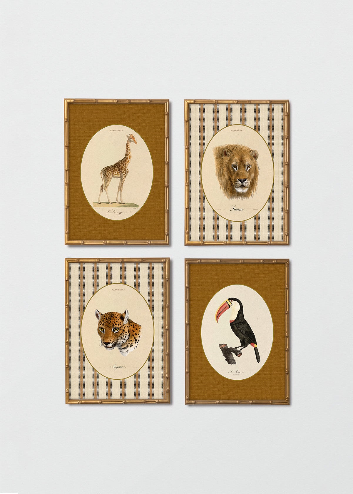 Set Cuadros Papel Algodón Animales Jungla & Sabana