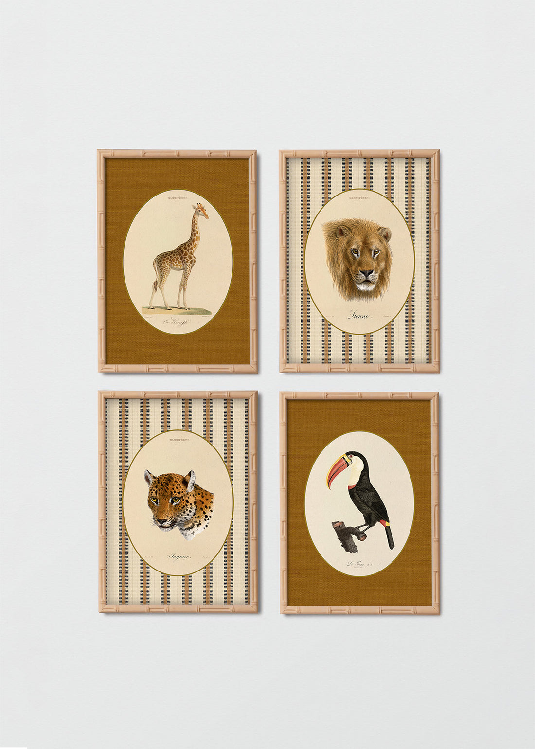 Set Cuadros Papel Algodón Animales Jungla & Sabana