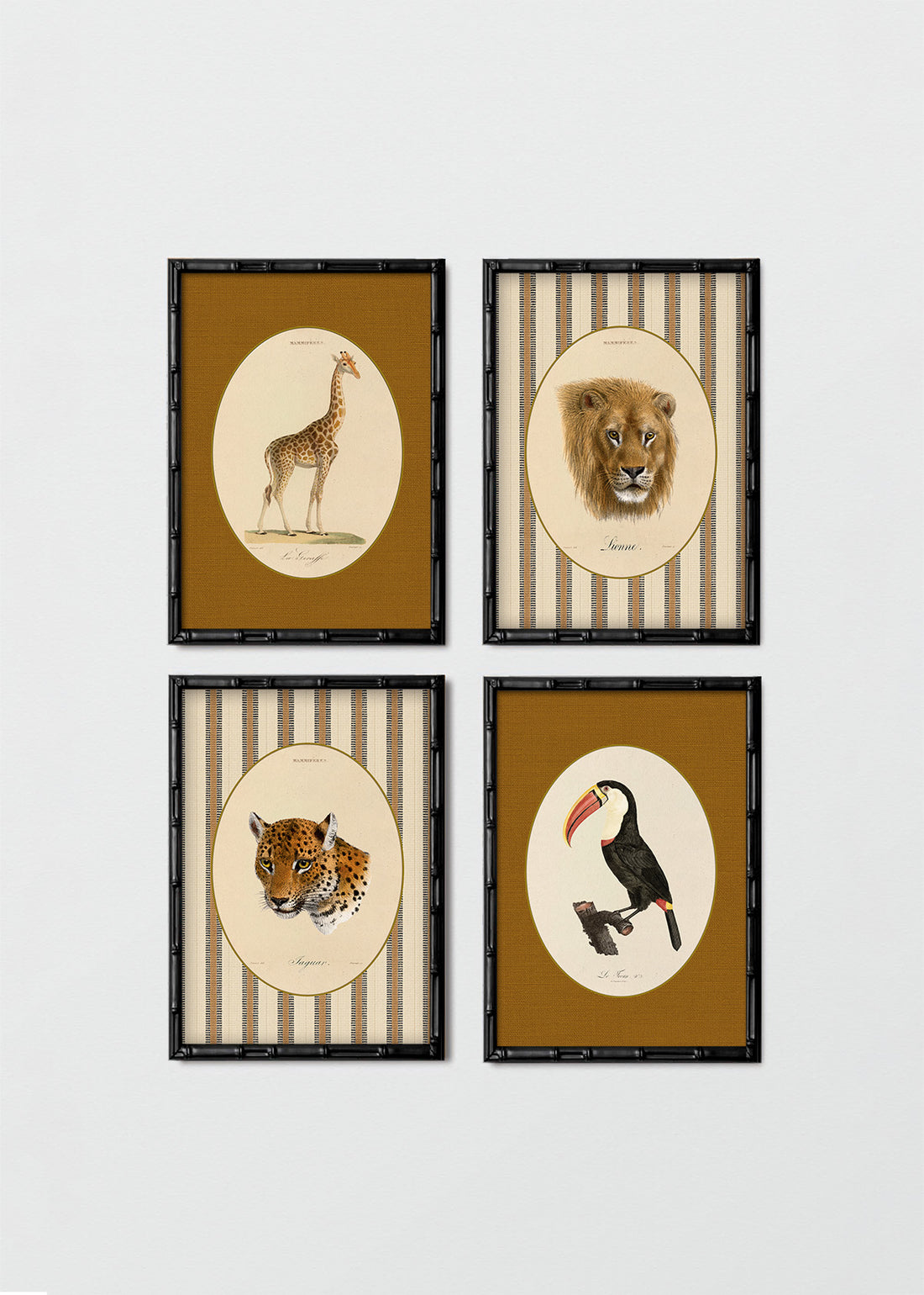 Set Cuadros Papel Algodón Animales Jungla & Sabana