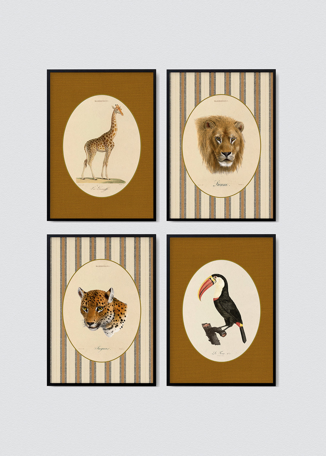 Set Cuadros Papel Algodón Animales Jungla & Sabana