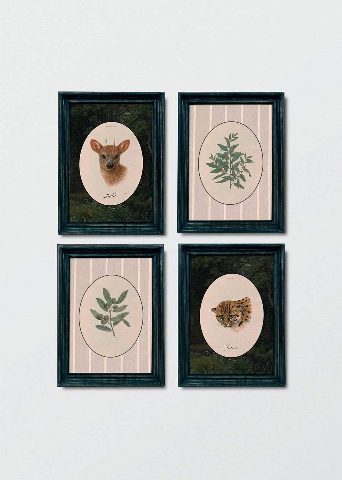 Set Flora & Fauna Chilena (V)